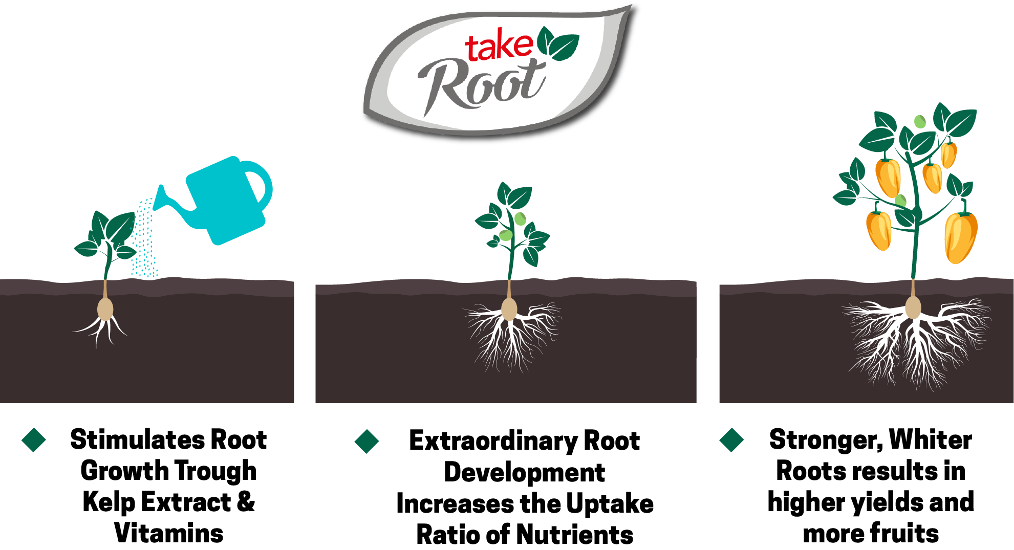 Take Root Dutchpro